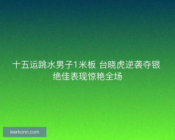 十五运跳水男子1米板 台晓虎逆袭夺银 绝佳表现惊艳全场