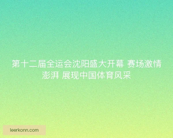 第十二届全运会沈阳盛大开幕 赛场激情澎湃 展现中国体育风采